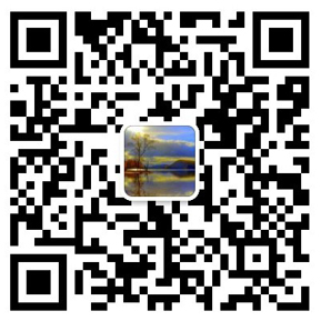 電線(xiàn)桿鉆孔打樁機(jī)